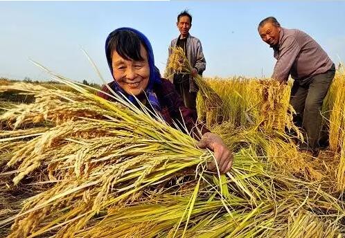 重磅！繼包產(chǎn)到戶之后，我國農(nóng)村又一次迎來重大改革