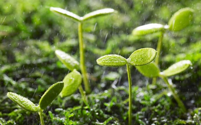 動態(tài) | 生物刺激劑多重效果大揭秘，可減少百萬噸氮肥的投入！